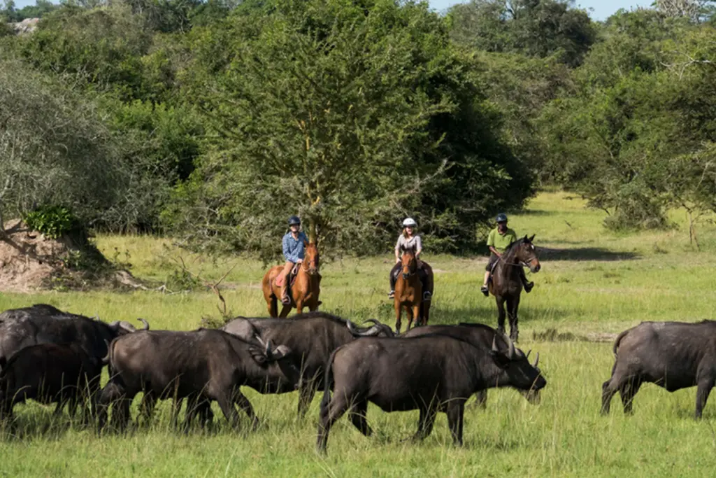 Lake Mburo National Park.