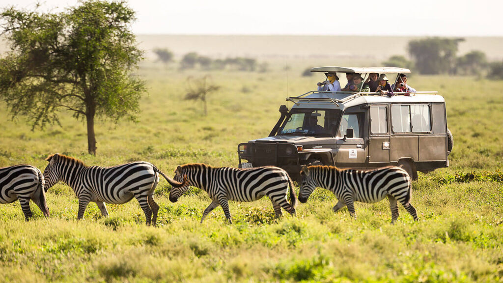 6 Days Uganda Safari
