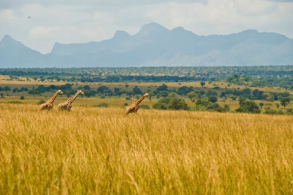 Kidepo National Park.